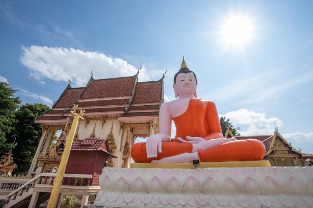 รูปภาพนี้มี Alt แอตทริบิวต์เป็นค่าว่าง ชื่อไฟล์คือ Ao_izard-0942-Medium-2-1024x683.jpg